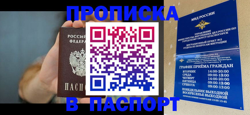 прописка поиск в Щёлково